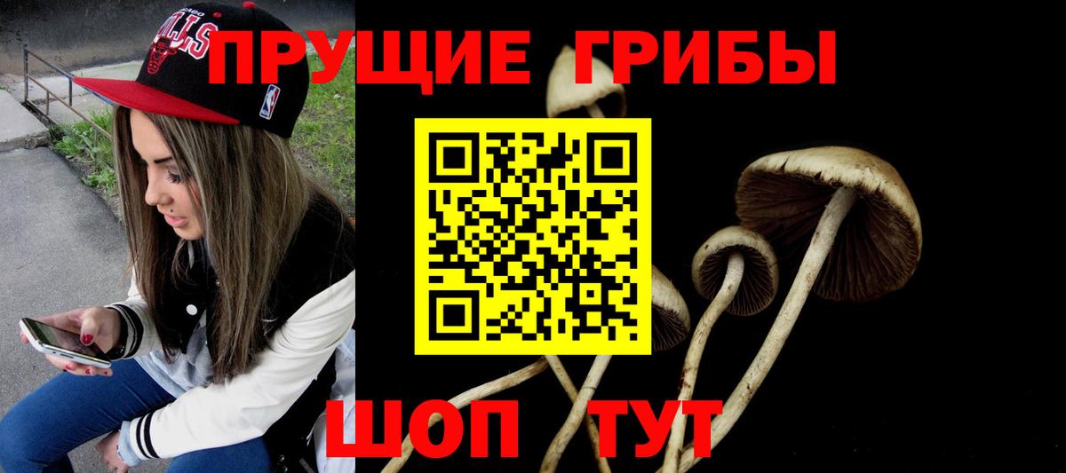 Белореченск  Псилоцибиновые грибы Cubensis  Вход с VPN  Галлюциногенные грибы MAGIC MUSHROOMS 