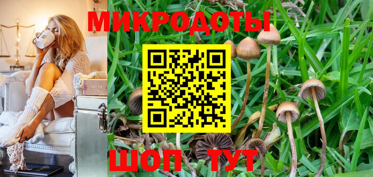 Галлюциногенные грибы Cubensis Белореченск